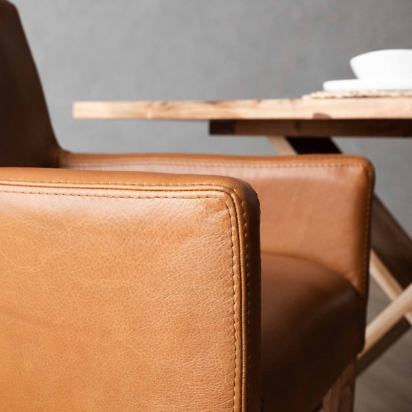 sandton-dining-chair-blackwood-ginger