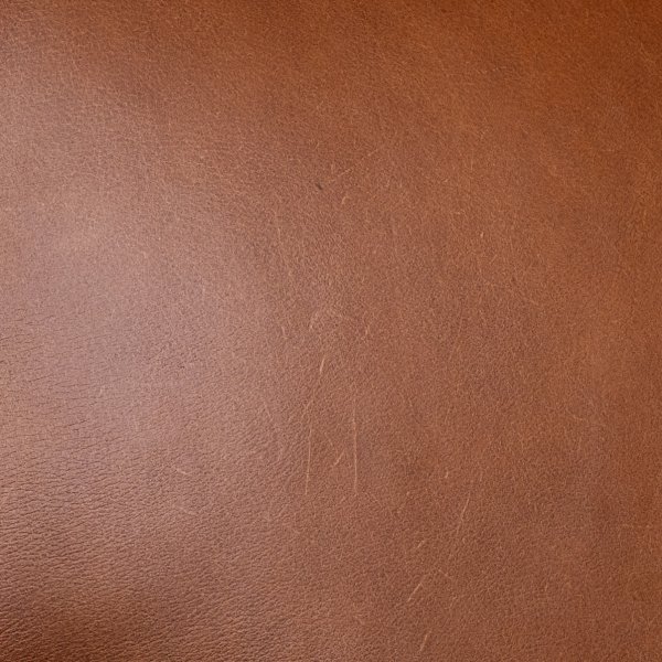 butterscotch-swatch-july2025