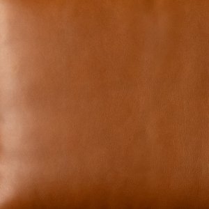 ginger-swatch-july2025