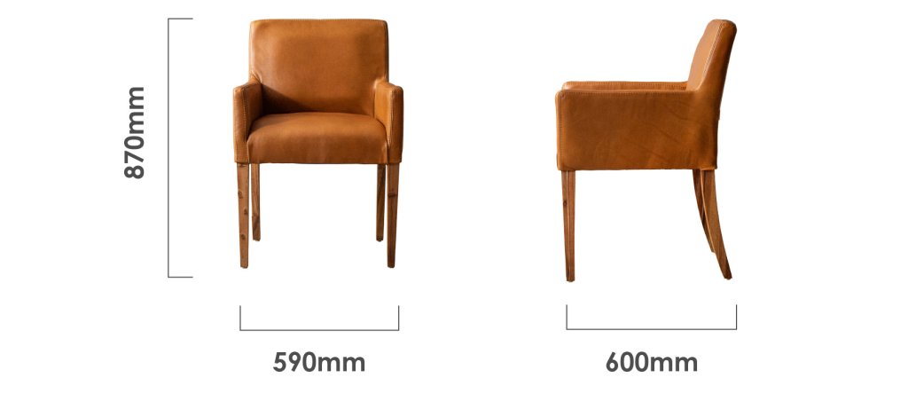 sandton-dining-chair-blackwood-ginger-dimensions