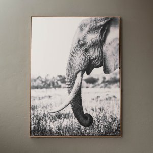 Grace In Stillness Framed Canvas