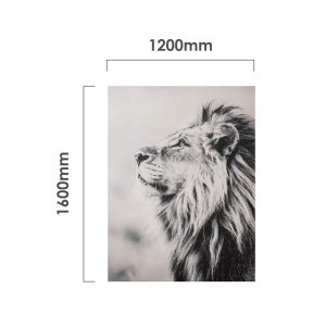 the-watchful-king-framed-canvas-dimensions