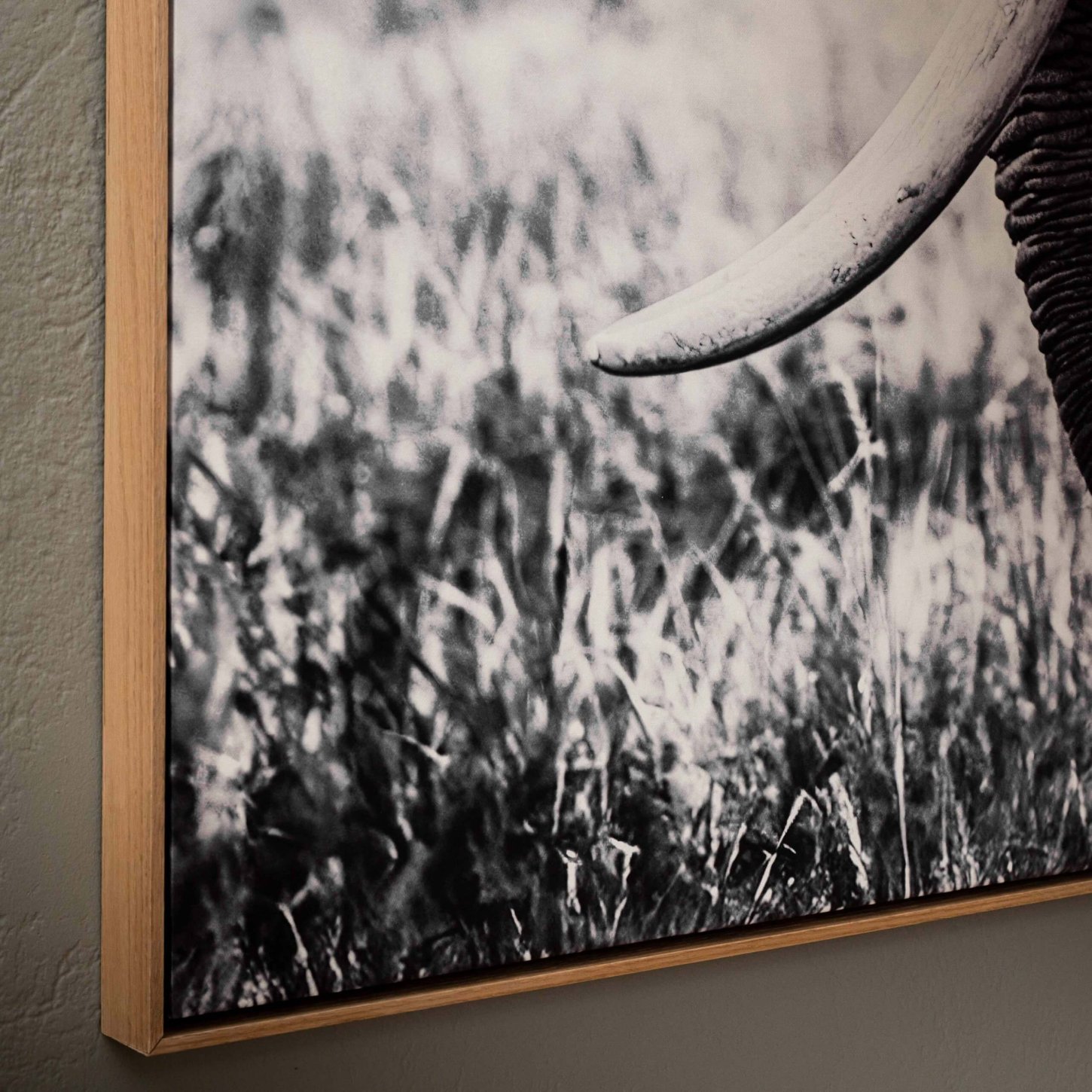 grace-in-stillness-canvas