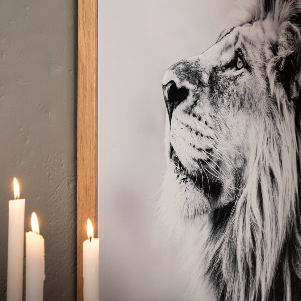 the-watchful-king-framed-canvas