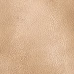 desert-swatch