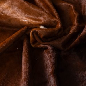nguni-cow-hide