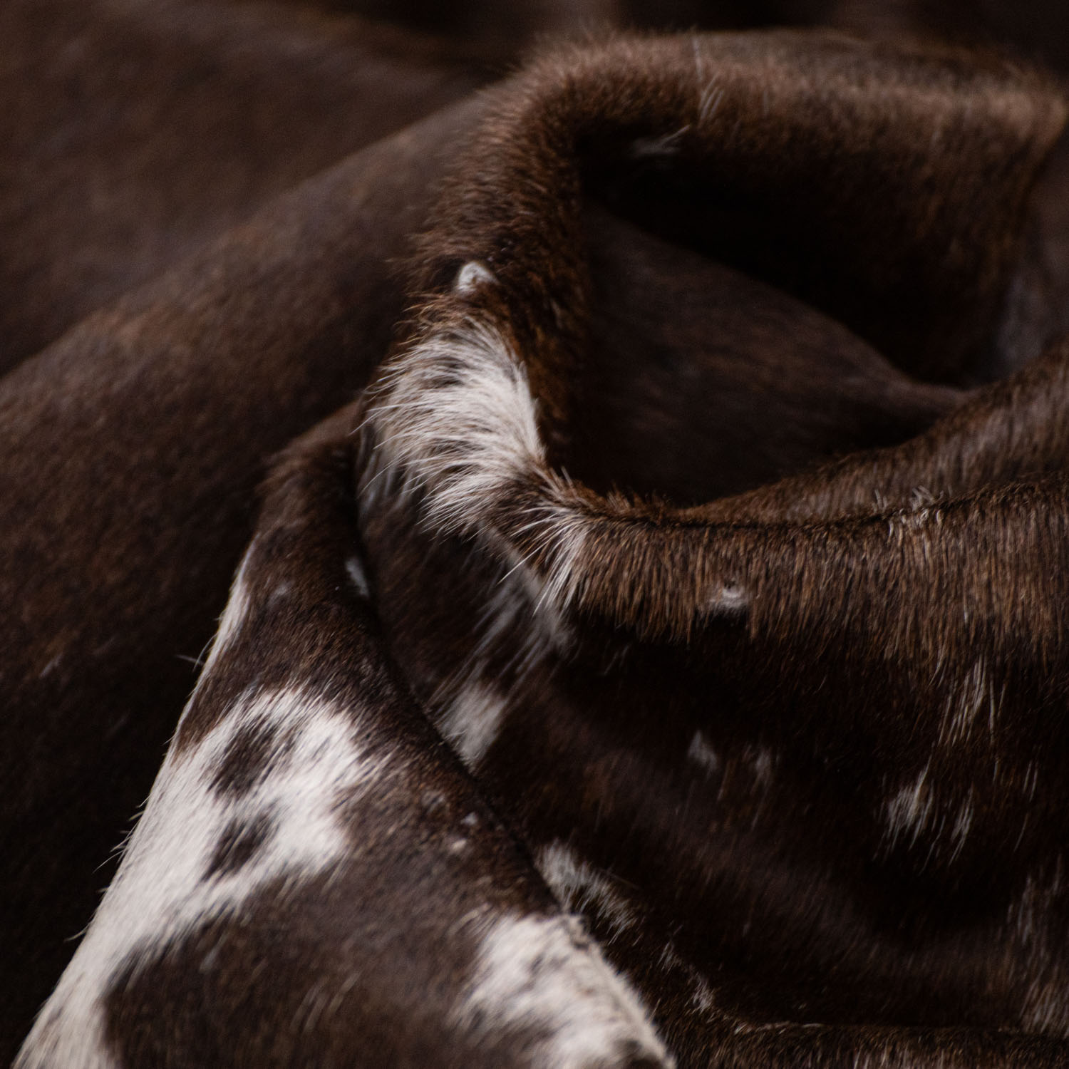 brazilian-cow-hide