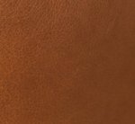 ginger-swatch-march2026