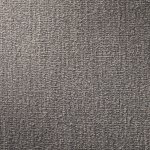 Fennel Grey Swatch