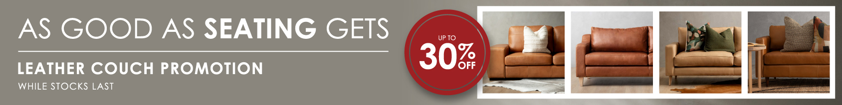 Leather Couches Promotion Desktop