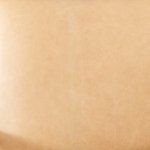 Desert Swatch