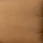 Desert-Swatch