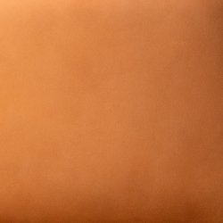Ginger Leather Swatch