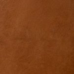 Cinnamon-Swatch