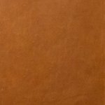 Tan-Swatch