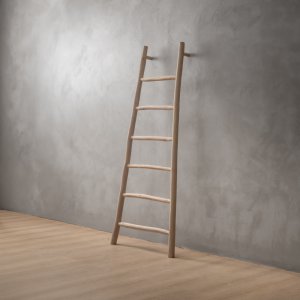 Maysa Wood Ladder