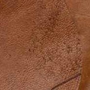 Leather Characteristics